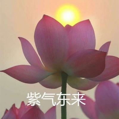 魂之刃巨龙城堡taptap游戏下载